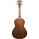 Ibanez PNB14E: Picture 3 thumbnail