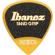 Ibanez Pick: Picture 2 thumbnail