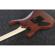 Ibanez RG420RW: Picture 2 thumbnail