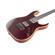 Ibanez RG5121: Picture 6 thumbnail