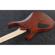 Ibanez RG7421PB: Picture 3 thumbnail