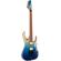 Ibanez RGA42HPT: Picture 3 thumbnail