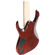 Ibanez RGA742FM: Picture 4 thumbnail