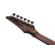 Ibanez S1070PBZ: Picture 8 thumbnail