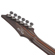 Ibanez S1070PBZ: Picture 9 thumbnail