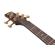 Ibanez SR1605DW: Picture 8 thumbnail