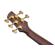 Ibanez SR1605DW: Picture 9 thumbnail