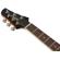 Ibanez TCY10E: Picture 8 thumbnail