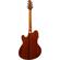 Ibanez TCY10E: Picture 2 thumbnail