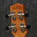 Ibanez UEW13E: Picture 6 thumbnail
