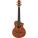 Ibanez UEWT5: Picture 1 thumbnail