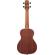 Ibanez Concert Ukulele: Picture 4 thumbnail