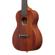 Ibanez Concert Ukulele: Picture 8 thumbnail