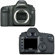 Canon EOS-5D SLR Cam Body Kit w/ 4GB CF ...: Picture 1 thumbnail