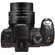 Canon Powershot SX1 Is Digital Camera: Picture 4 thumbnail
