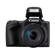 Canon PowerShot SX420 IS: Picture 5 thumbnail