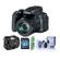 Canon PowerShot SX70 HS: Picture 3 thumbnail