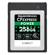 Delkin Devices CFexpress POWER: Picture 2 thumbnail