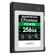 Delkin Devices CFexpress POWER: Picture 1 thumbnail