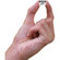 Delkin Devices Advantage 660X: Picture 5 thumbnail