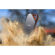 SanDisk Extreme PRO SSD: Picture 7 thumbnail