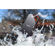 SanDisk Extreme PRO SSD: Picture 8 thumbnail