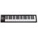 ICON Digital iKeyboard Nano: Picture 1 thumbnail