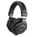 ICON Digital HP-200: Picture 1 thumbnail