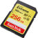 SanDisk Extreme Memory Card: Picture 2 thumbnail