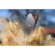 SanDisk 1TB Extreme PRO USB 3.1 External...: Picture 6 thumbnail