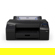 Epson SureColor P5370: Picture 2 thumbnail