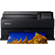 Epson SureColor Wide Format: Picture 5 thumbnail