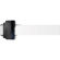 Epson P600: Picture 4 thumbnail