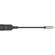iFi AUDIO Groundhog+: Picture 3 thumbnail