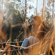 Fujifilm GFX100RF: Picture 23 thumbnail