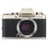 Fujifilm X-T100: Picture 5 thumbnail