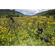 iFootage Motion S1A3 Bundle B0 Wireless ...: Picture 3 thumbnail