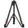 iFootage Wildbull T7S: Picture 10 thumbnail