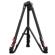 iFootage Wildbull T7S: Picture 12 thumbnail