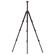 iFootage Gazelle Uprise: Picture 2 thumbnail