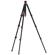iFootage Gazelle Uprise: Picture 4 thumbnail