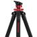 iFootage Gazelle Uprise: Picture 11 thumbnail