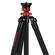 iFootage Gazelle Uprise: Picture 12 thumbnail