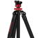iFootage Gazelle Uprise: Picture 13 thumbnail