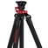 iFootage Gazelle Uprise: Picture 14 thumbnail