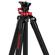 iFootage Gazelle Uprise: Picture 15 thumbnail