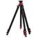 iFootage Gazelle Uprise: Picture 17 thumbnail