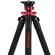 iFootage Gazelle Uprise: Picture 10 thumbnail
