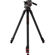 iFootage Gazelle TC9: Picture 1 thumbnail