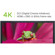 IOGEAR DisplayPort MST KVMP: Picture 6 thumbnail